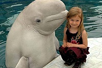 Дельфин с девочкой