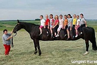 Длинный конь