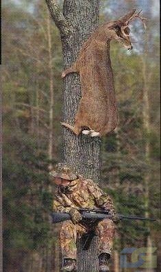 Охота на оленя