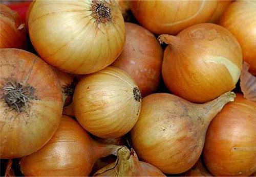 Лук Лук